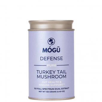 mushroom supplements & extracts