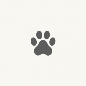 pets
