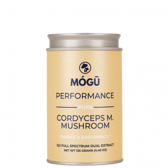 mushroom supplements & extracts